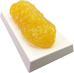 Amazing Fat Replica 1lb - Realistic Anatomic Fat Model - Weight Loss Motivation - Fat Burner Motivator for Men & Women - Great for Students in Physiology & Science - Learn The Anatomy of Body Fat