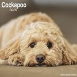 Cockapoo 2025 Square Wall Calendar | Dog Breed Calendar