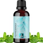 Peppermint Essential Oil |100% Natural, Aromatherapy Scented Essential Oil Singles Pure Peppermint Oil | 30ML