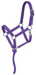 Tough 1 Nylon Padded Miniature Halter, Purple, Small