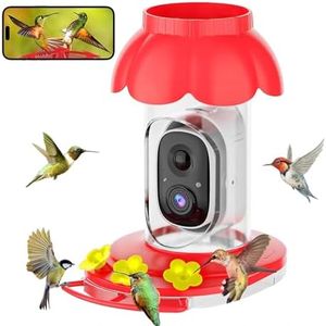 Hummingbir