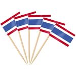 AhfuLife 100/200pcs Thailand Toothpick Flags, Cocktail Stick Flag for National Day Sandwich Food Cupcake Toppers Tableware World Cup Party Supplies Pub Royal Event Decor (100 Pcs)