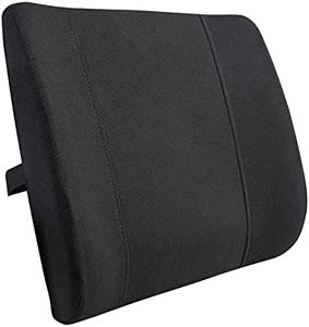 Amazon Basics Memory Foam Lumbar Back Support Pillow - Black, Paneled