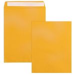 10x13 Catalog Envelopes Self Seal 100 Pack, Goefun 100GSM Paper Yellow Brown Large Envelopes, Manilla Envelopes with Peel and Seal Flap for Mailing, Organizing and Storage