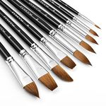 Kolinsky Watercolour Brushes Set-9pcs Professional Sable Hair Watercolour Brushes for Artists - Pointed Rounds Cat's Tongue Oval Wash Flat Filbert for Watercolour Gouache Inks Painting