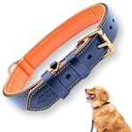 Bruby Premium Leather Dog Collar with Soft Padding, Dog Neck Belt, Dog Belt, Genuine Leather Collar for Dog, 1.25 inch Width (Large, Black)