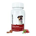 Dog Urinary Tract Infection