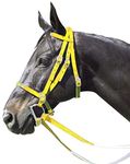 Intrepid International Nylon Race Horse Bridle, Yellow