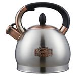 Tea Kettle -2.6 Quart Tea Kettles Stovetop Whistling Teapot Stainless Steel Tea Pots for Stove Top Whistle Tea Pot