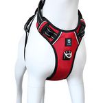 HANK Dog Harness - 3M Night Reflective - Oxford Fabric - Adjustable Belt for Small Dogs - Chest (Min 17 - Max 22" inches) (Small, Red)