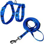 DOCO Cat Harness and Leash Set - Travel and Walking, Escape Proof, Adjustable Vest Harnesses for Cats, Easy Control, Breathable, One Size Fits All - (Blue Fish)