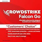 CrowdStrike Falcon Go | Cloud-Based