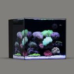 Landen 45P 20 Gallon Ultra Clear Al