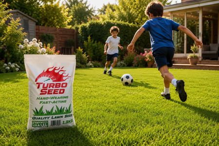 Avern Turbo Grass Seed 1.3kg – Fast Growing Lawn Seed