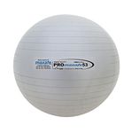 Champion Sports Pro Maxafe Training Exercise Ball, Metallic Grey