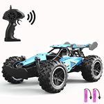 Electric Remote Control Car