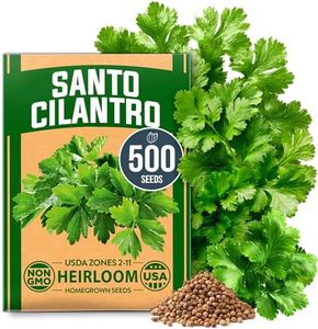 HOME GROWN (Fast Growing Variety) 500+ Cilantro Seeds for Planting Indoors or Outdoors - Non-GMO, Heirloom Herbs, Coriander Plant Seeds - Santo Cilantro Herb Seeds for Your Indoor Herb Garden