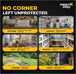 Pest X Pro Rat Trap Box 2-Pack – Secure Rodent Control