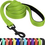 CollarDirect Nylon Dog Leash 5ft for Daily Outdoor Walking Running Training Heavy Duty Reflective Pet Leashes for Large, Medium & Small Dogs (Lime Green, Large)