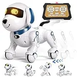 Aiqi Remote Control Robot Dog Toy, 