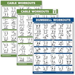 3 Pack - Cable Machine Workout Posters Volume 1 & 2 + Dumbbell Exercise Chart (LAMINATED, 18" x 24")