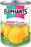 Twin Elephants Jackfruit In Syrup 565 g