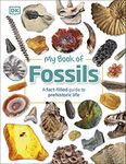 My Book of Fossils: A fact-filled g