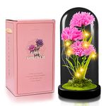 Artificial Carnation, Light Up Artificial Flowers, Pink Carnation Glass Cover Decoration Gift for Girlfriend, Romantic Gift for Mother's Day, Valentine's Day, Anniversary, Birthday Gift