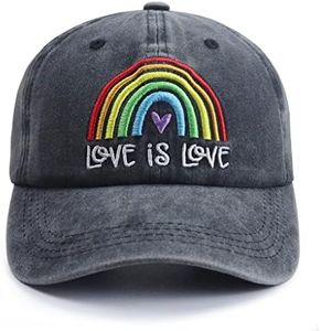 Lgbtq Acce
