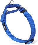 Hyhug Adjustable Martingale Collar - Strong and Secure Collar for Pets - Comfortable and Stylish for Large Dogs.