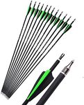 12 Pcs 30 Inch Archery Carbon Arrows Spine 500 Practice Hunting Arrows Removable Field Points Fletched Plastics Vanes (Green arrow)