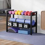 WINSTAR 2-Tier Adjustable Dumbbell Rack | Heavy-Duty Home Gym Weight Storage Stand for Dumbbells & Kettlebells | Space-Saving Home Gym Organizer (Rack Only, Black)