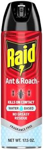 Raid Ant &