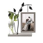 Sapowerntus 4x6 Picture Frames Fami