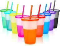 Echify Reusable Tumbler with Straw 