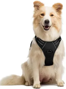 rabbitgoo Dog Harness No Pull with 2 Leash Clips, Adjustable Soft Padded, Reflective Oxford No Choke Pet Vest with Easy Control Handle for Medium Sized Dogs, Black, M