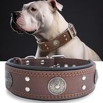 Leather Dog Collar, 2 inches Wide H