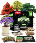 HOME GROWN Bonsai Tree Kit. Bonsai Tree Starter Kit with 4 Seeds Types, incl. Purple Bonsai Tree! Indoor Growing Plant Gifts for Moms Who Have Everything, Seed Starter Kit for Kids, DIY Adult Crafts