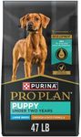 Purina Pro Plan Large Breed Dry Pup