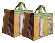 Bag2Basic Eco Friendly Reusable Nylon Grocery Vegetable Shopping jhola Bag Pack of 2 Box Bags