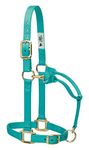 Weaver Leather Original Adjustable Chin & Throat Snap Nylon Horse Halter, Mint, Large