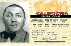 Signs 4 Fun Parody ID | Stooges - C