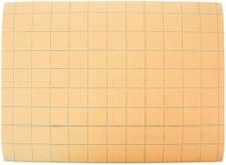 School Smart Graph Paper, 1 Inch Rule, 9 x 12 Inches, Manila, Pack of 500-085481