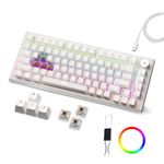 Kreo Hive RGB Anti-ghosting Gaming Keyboard, 75% Tenkeyless Wired Mechanical Keyboard with RGB Backlight, Volume Knob, NKRO, PC Gaming Keyboard Detachable USB C Cable (All White, Brown Switch)