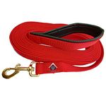 MS PET HOUSE Padded Dog Training Lead 5 Feet Long Leash for Dogs (1 Inch Wide by 5 FT Long, Red Color)