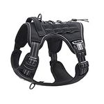 Auroth Tactical Harness for Large D