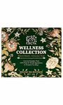 SAN-CHA Tea Boutique Wellness Collection Sampler Box, Tea Sampler Pack, Tea Assortment Of 16 Premium Tea Bags, Immunity Tea Range, Pyramid Tea Bags, Tea Variety Pack, 25.5 Grams, Pack Of 1, Green Tea