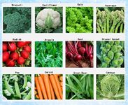 Premium Winter Vegetable Seeds for 