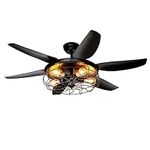 Ohniyou Ceiling Fans with Lights an