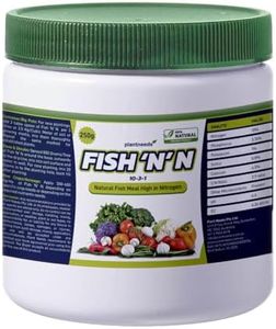 Fish N N 2